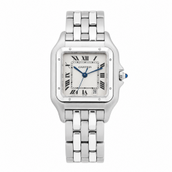 CARTIER PANTHERE STEEL 1310